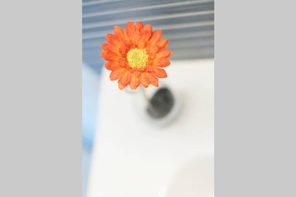 Apartamento Diseno A Cien Metros Del Mar. 토르뎀바라 외부 사진